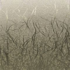 CRICUT 2007742 PREMIUM VİNİL KALICI 30X120CM DOKULU METALİK PLATİNYUM