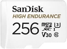256GB High Endurance 100MBs microSD Kart