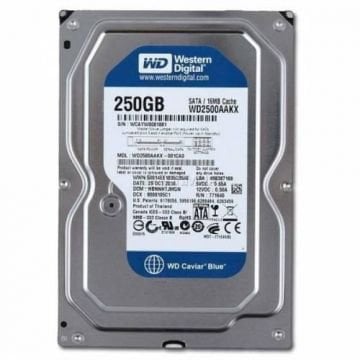 WD 250GB 7200 RPM SATA2 8MB 3,5'' WD2500AAKX