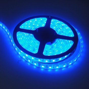 POWERMASTER DIŞ MEKAN (SİLİKONLU) TEK ÇİPLİ 60 LED ŞERİT 5 METRE MAVİ