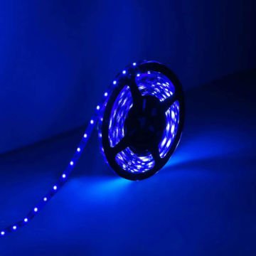 POWERMASTER DIŞ MEKAN (SİLİKONLU) TEK ÇİPLİ 60 LED ŞERİT 5 METRE MAVİ