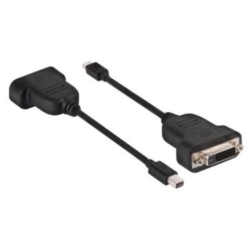 Mini Displayport to Dişi DVI Orjinal