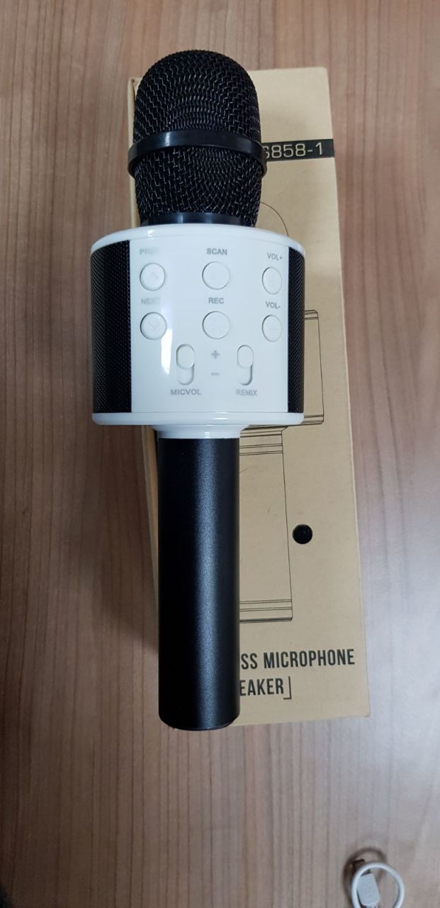 Hadron Şık Tasarımlı Karaoke Mikrofon HD559